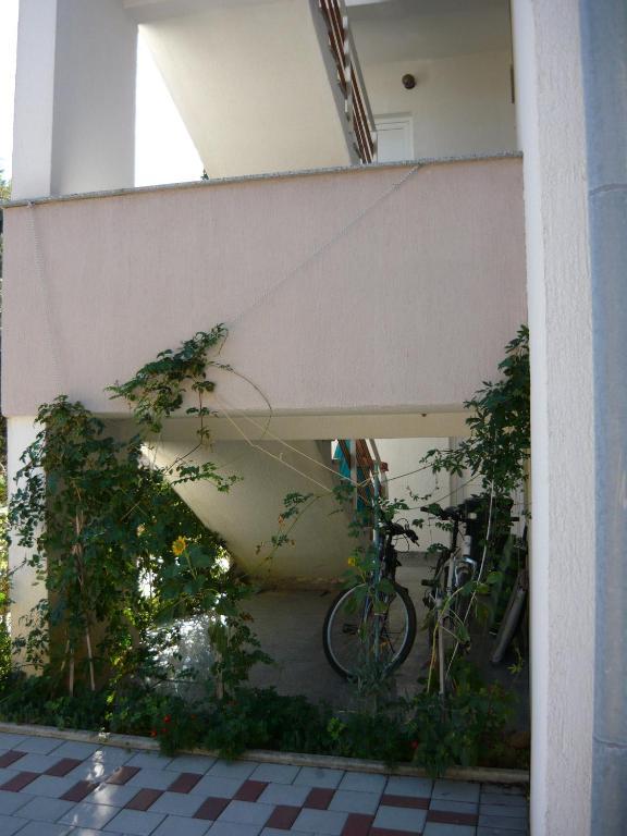 Apartments Dokovic Barbat na Rabu Extérieur photo